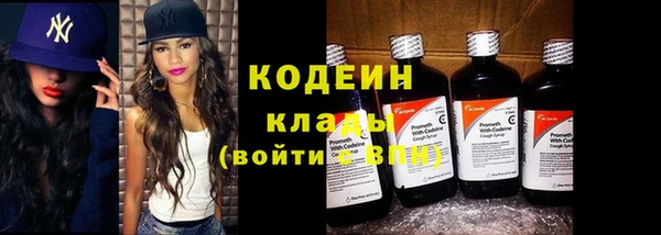 гидра Богданович