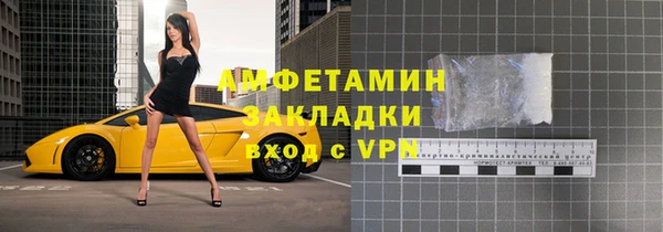 гидра Богданович