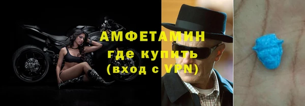 гидра Богданович