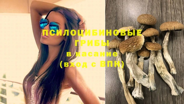 MESCALINE Богородицк