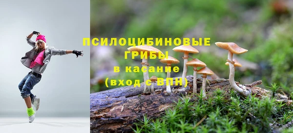 гидропоника Бронницы