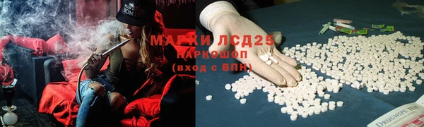 гидра Богданович