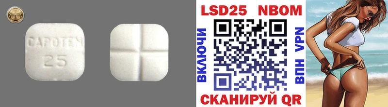 blacksprut как войти  Заречный  ЛСД экстази кислота 
